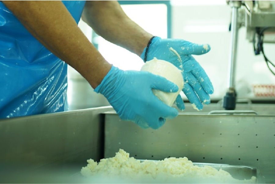man with gloves making cheese ball at 'Mykonos Farmers' plant